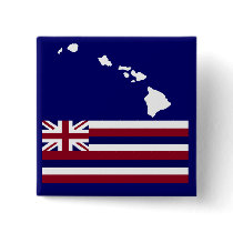 Hawaiian Islands n flag button
