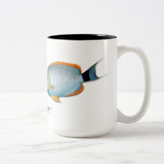 Hawaiian Masked Angelfish, Genicanthus personatus Two-Tone Coffee Mug