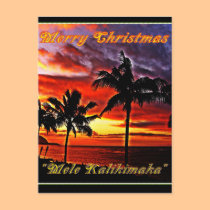 Hawaiian Merry Christmas Postcard