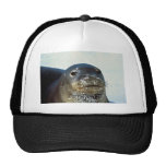 Hawaiian Monk Seal Hat