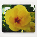 Hawaiian mousepad by Rebecca_Reeder Hawaiian mousepad