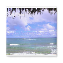 Hawaiian Ocean magnets