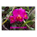 Hawaiian orchid card