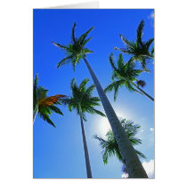 Hawaiian Palms Cards