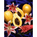 Hawaiian papayas, Carica papaya. t-shirts by moxieann Hawaiian papayas, Carica papaya. t-shirts