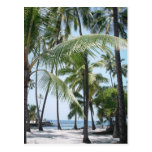 Hawaiian Paradise Postcard