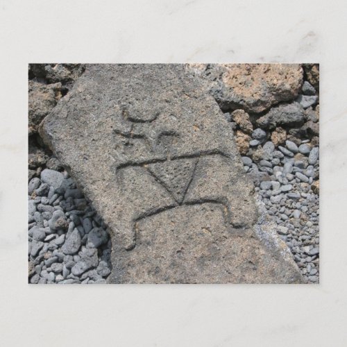 Hawaiian Petroglyph - Postcard postcard