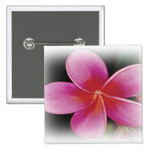 Hawaiian Plumeria Button