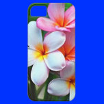 Hawaiian Plumeria flowers casemate cases