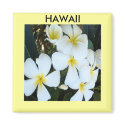 Hawaiian Plumeria Magnet