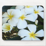 Hawaiian Plumeria Mousepad mousepads