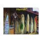 Hawaiian Post Card postcard