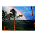 Hawaiian Rainbow Poster posters