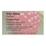 Hawaiian raspberry (Rubus hawaiiensis) Business Card Template