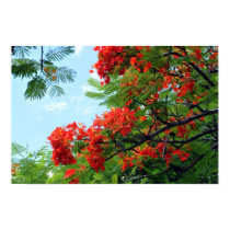 Impression florale rouge hawaïenne posters by HawaiianParadise Impression florale rouge hawaïenne posters