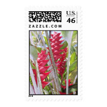 Hawaiian Red Heliconia and Ginger postage