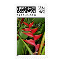 Hawaiian Red Heliconia postage