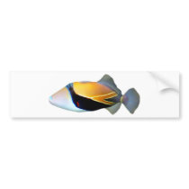Hawaiian Reef Trigger Fish