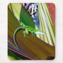 Hawaiian Reptile mousepads