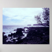 Hawaiian Rocky Beach Posters