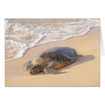 Hawaiian Sea Turtle Greeting Card