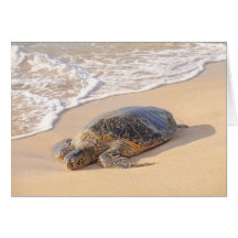 Hawaiian Sea Turtle Greeting Card