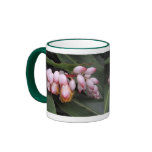 Hawaiian Shell Ginger Mug