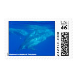 Hawaiian Spinner Dolphins Postage