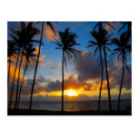 Hawaiian Sunrise Post Card