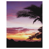 Hawaiian Sunset flyers by bens555 Hawaiian Sunset flyers