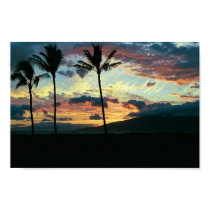 Hawaiian Sunset posters