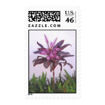 Hawaiian Ti and Ferns postage