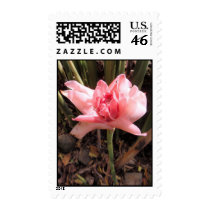 Hawaiian Torch Ginger postage