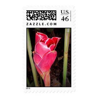 Hawaiian Torch Ginger Stamp by joeyartist