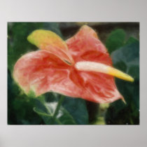 Hawaiian Tropical Anthurium Poster posters