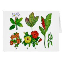 Hawaiian Tropical Botanicals cards by joeyartist Hawaiian Tropical Botanicals cards