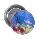 Hawaiian Tropical Fish Button