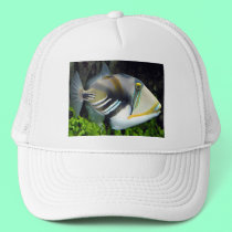 Hawaiian Tropical Fish Hat