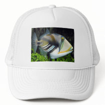 Hawaiian Tropical Fish Hat