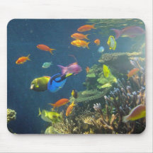 Hawaiian Tropical Fish Mouse Pads