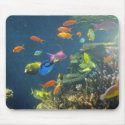 Hawaiian Tropical Fish mousepads