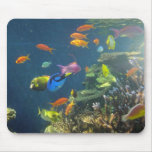 Hawaiian Tropical Fish Mouse Pads