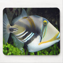 Hawaiian Tropical Fish Mousepad by Natures_Best_Images Hawaiian Tropical Fish Mousepad