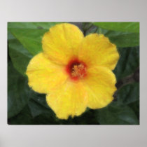Hawaiian Tropical Hibiscus Poster posters