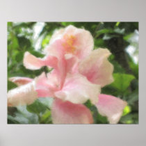 Hawaiian Tropical Hibiscus Poster posters