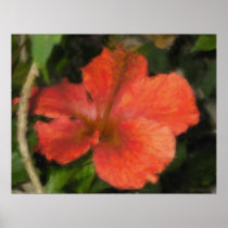 Hawaiian Tropical Hibiscus Poster posters