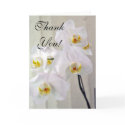 Hawaiian Tropical Orchid Card by HawaiianParadise Hawaiian Tropical Orchid Card