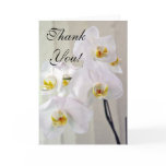 Hawaiian Tropical Orchid Card