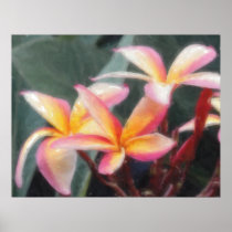 Hawaiian Tropical Plumeria Poster posters