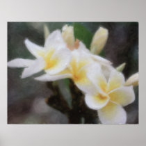 Hawaiian Tropical Plumeria Poster posters